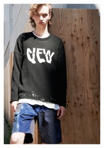 am17ss_nomal_r018 